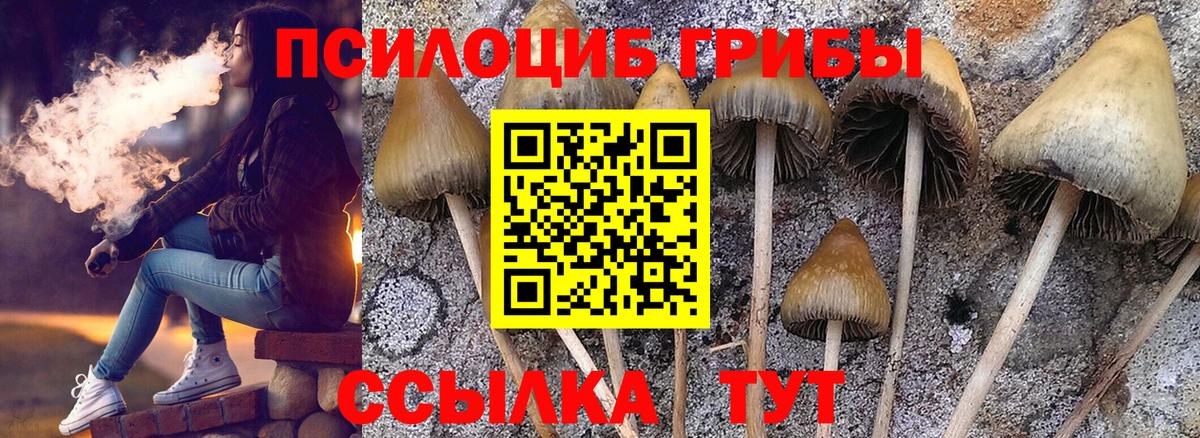 Псилоцибиновые грибы Magic Shrooms Белореченск